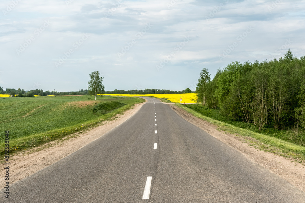 asphalt country road passes near a field with yellow rapeseed