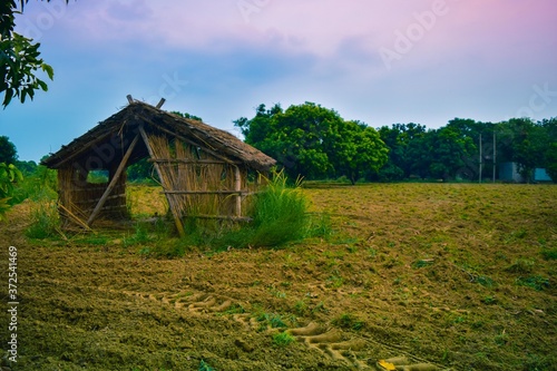 Thatched hut on a farm land with lush green trees and a blue sky in the background