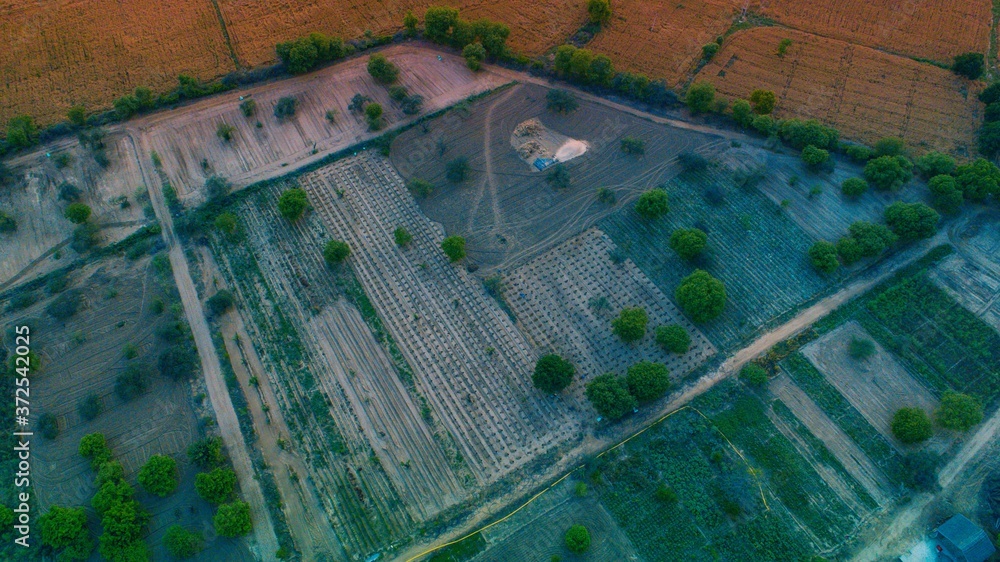 Aerial view of a farmland 