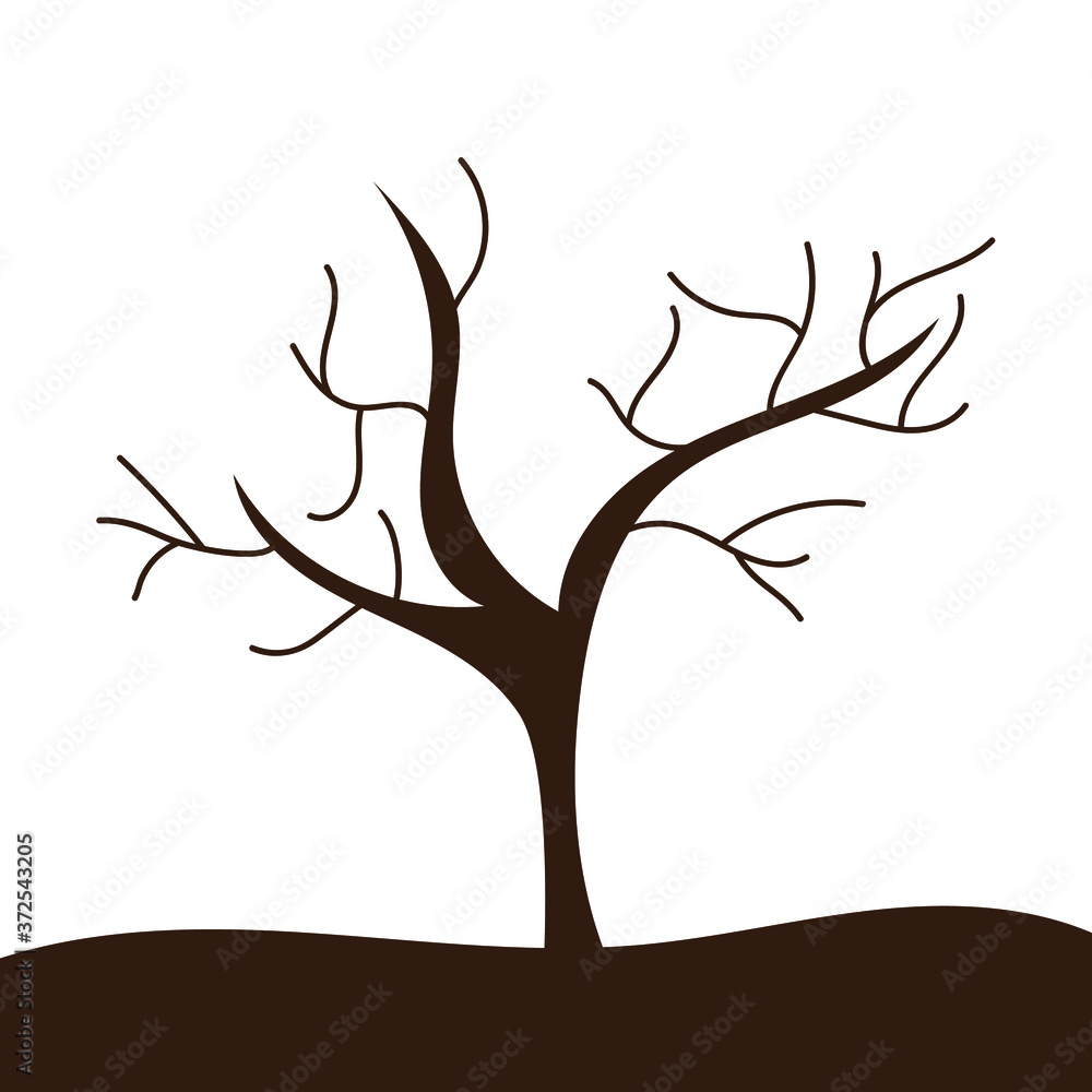 Tree without leaves on a white background