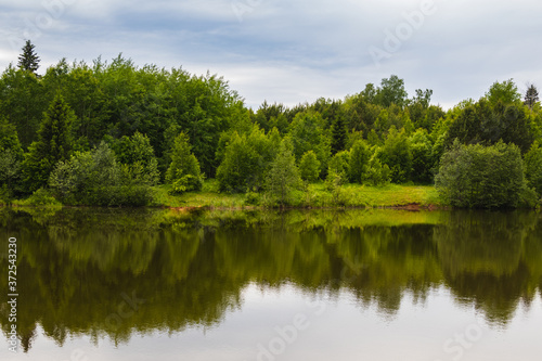 Picturesque natural landscape overlooking a forest lake