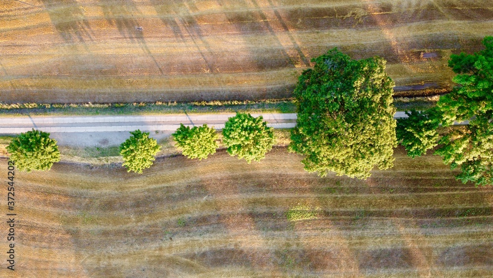 Aerial view over a field with a path Aerial view over a field with a path