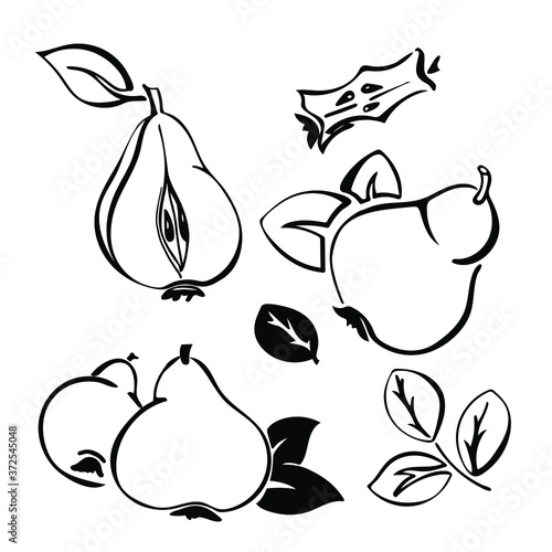 Set of black and white stock vector pears, pear stub with seed, half pear, leaves. Doodle design fruit. Ink, sketch style collection of isolated hand drawn harvest. 