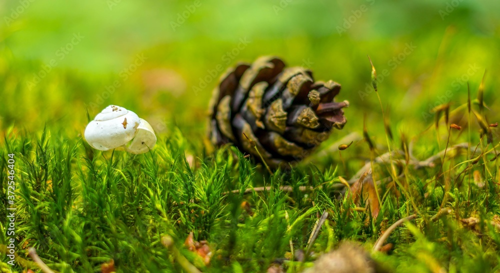 Natura... Woda.. Las...