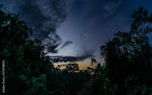 Panoramic view of a sunset in the jungle