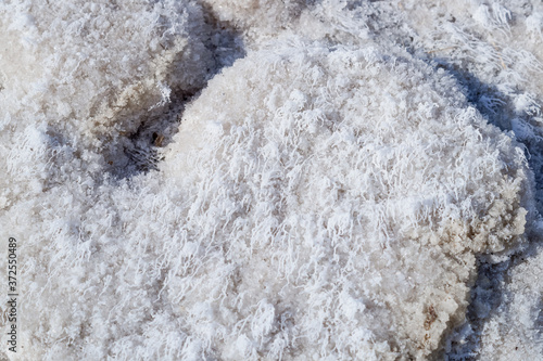 A thin layer of white salt crystals forming a crust on the shore of a drying salt lake in the village of Baskunchak Russia. Salt crust. Background.the salt is growing