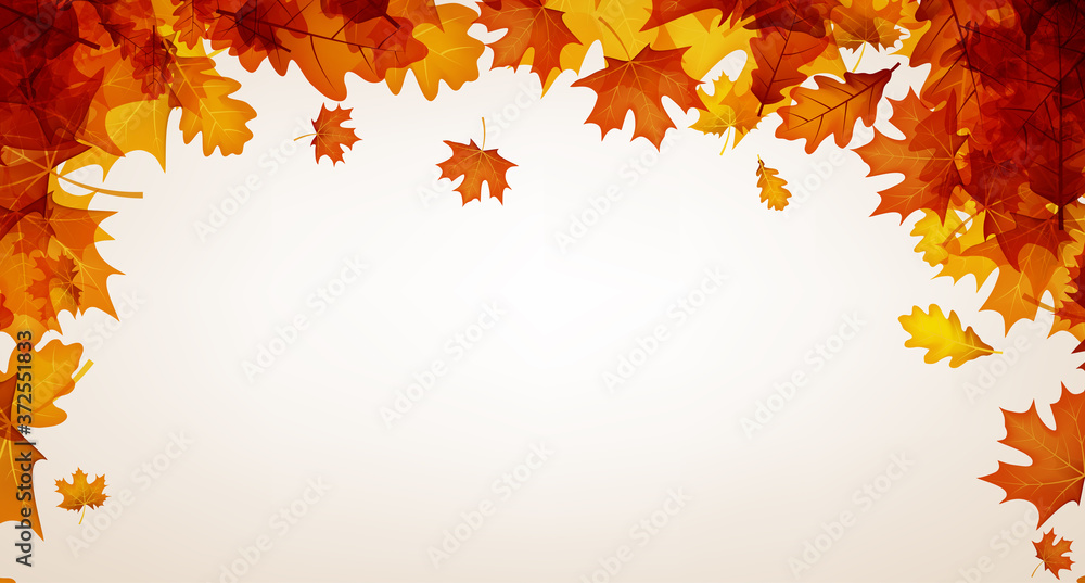 Autumn red oak and maple leaves. - obrazy, fototapety, plakaty 