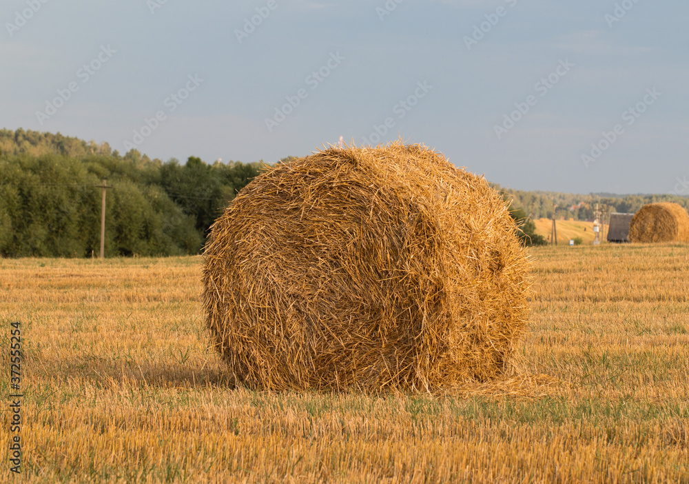 bales of hay