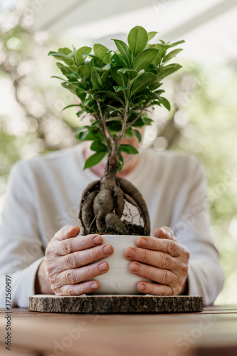 Senior man holding bonsai plant