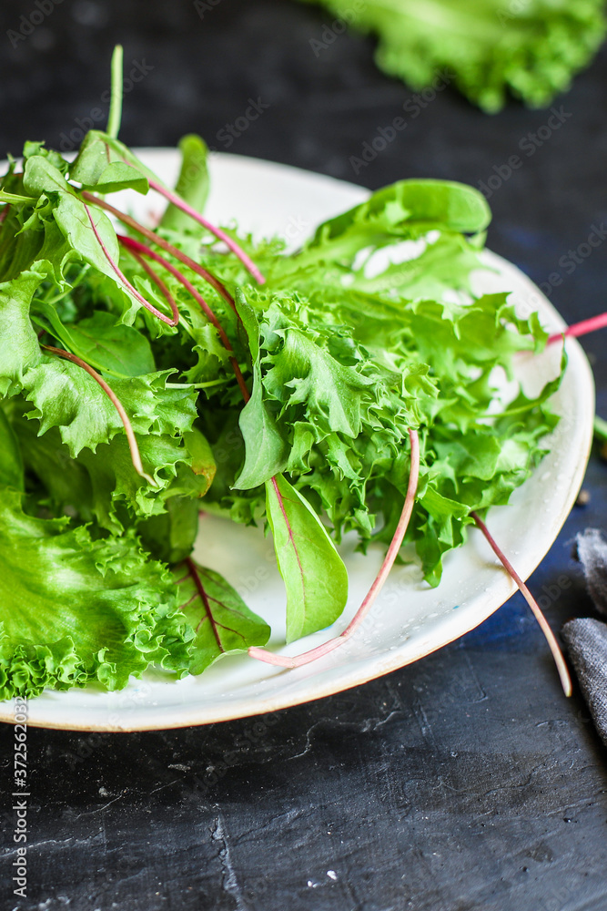 green salad leaves mix vegetables serving size organic healthy eating portion top view copy space for text second course keto or paleo diet raw green salad leaves mix vegetables serving size organic healthy eating portion top view copy space for text second course keto or paleo diet raw
