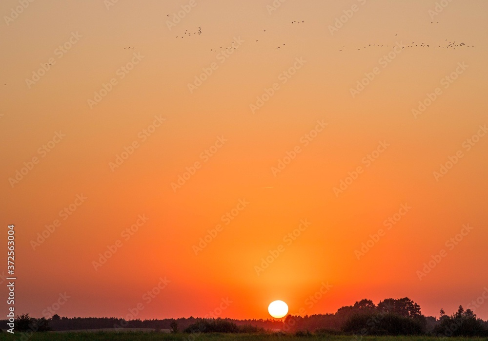 Poland... Lato... Summer...