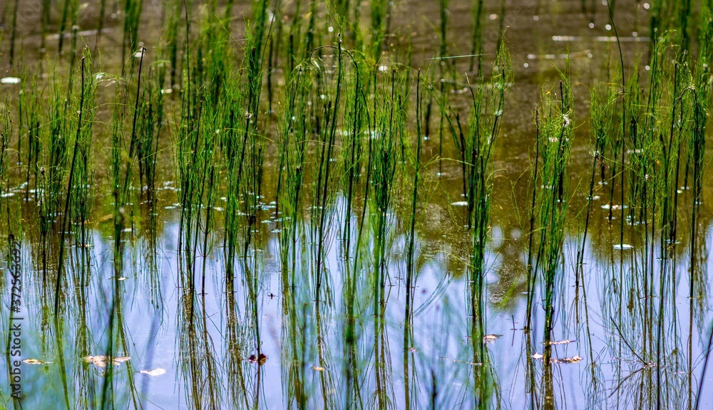 Poland... Lato... Summer...