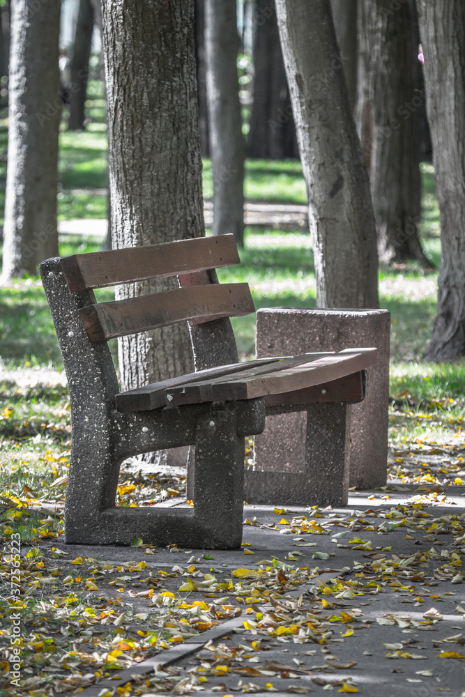 Empty bench. City Park. Nobody here. End of love. Expectation metaphor. Outdoor seat. Desolate life. Date symbol. Loneliness in the metropolis. Bench among the trees. Deserted alley. Empty bench. City Park. Nobody here. End of love. Expectation metaphor. Outdoor seat. Desolate life. Date symbol. Loneliness in the metropolis. Bench among the trees. Deserted alley.