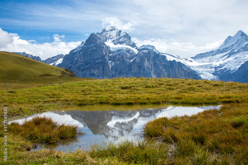 Snocapped mountains reflect in a wetland pool just above the village of Murren, Switzerland. Snocapped mountains reflect in a wetland pool just above the village of Murren, Switzerland.