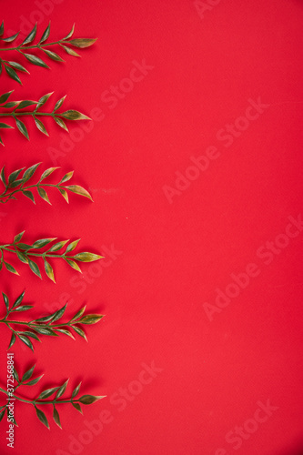 Beams of green grass on a red background empty space for text