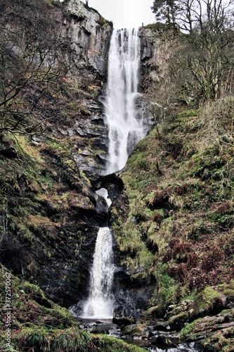 waterfall in the forest