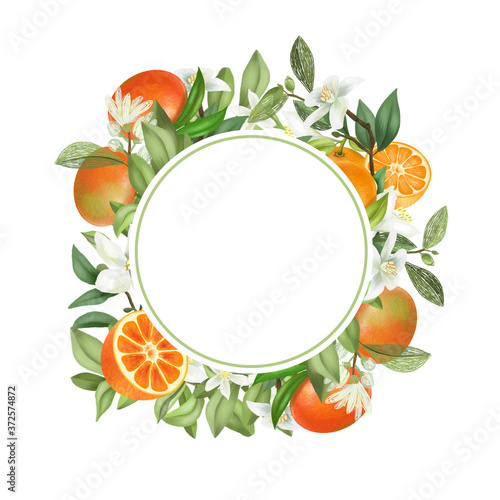 Round frame of hand drawn blooming mandarin tree branches, mandarin flowers and mandarins, isolated illustration on a white background