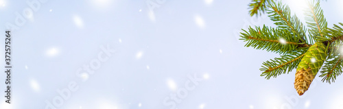 Flatley Christmas. Festive Christmas background. New Year's and Christmas. Christmas background with fir tree, banner. Snow. Copyspace photo