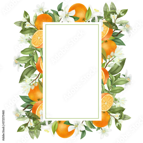 Vertical frame of hand drawn blooming orange tree branches, flowers, oranges on white background