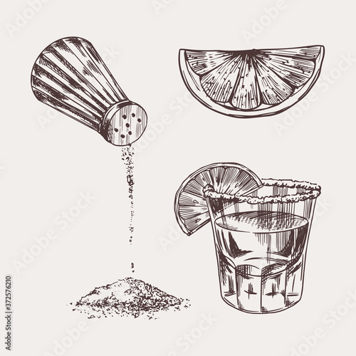 Salt and a shot of tequila and lime. Retro poster or banner. Engraved hand drawn vintage sketch. Woodcut style. Vector illustration.