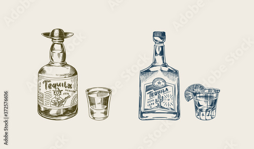 Bottle of tequila Glass shot with lime and label for retro poster or banner. Mexican drink. Engraved hand drawn vintage sketch. Woodcut style. Vector illustration.