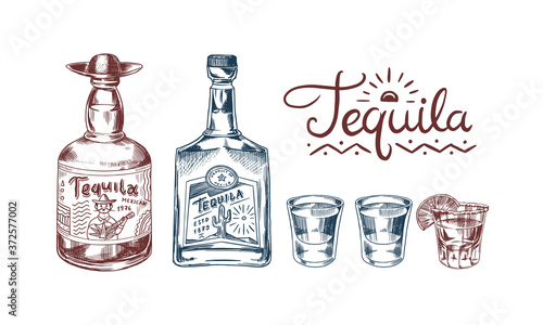 Bottle of tequila Glass shot with lime and label for retro poster or banner. Mexican drink. Engraved hand drawn vintage sketch. Woodcut Vector illustration.