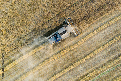 Aerial top down view of combine harvester working in the field, harvesting time