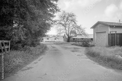 Fototapeta Naklejka Na Ścianę i Meble -  A view of american's neighborhood farm