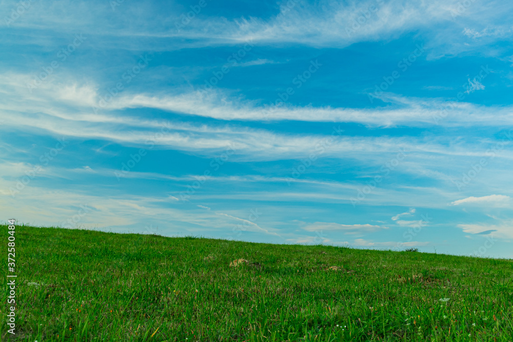 simple background nature landscape photography of idyllic green grass field horizon line scenic view with blue sky background
