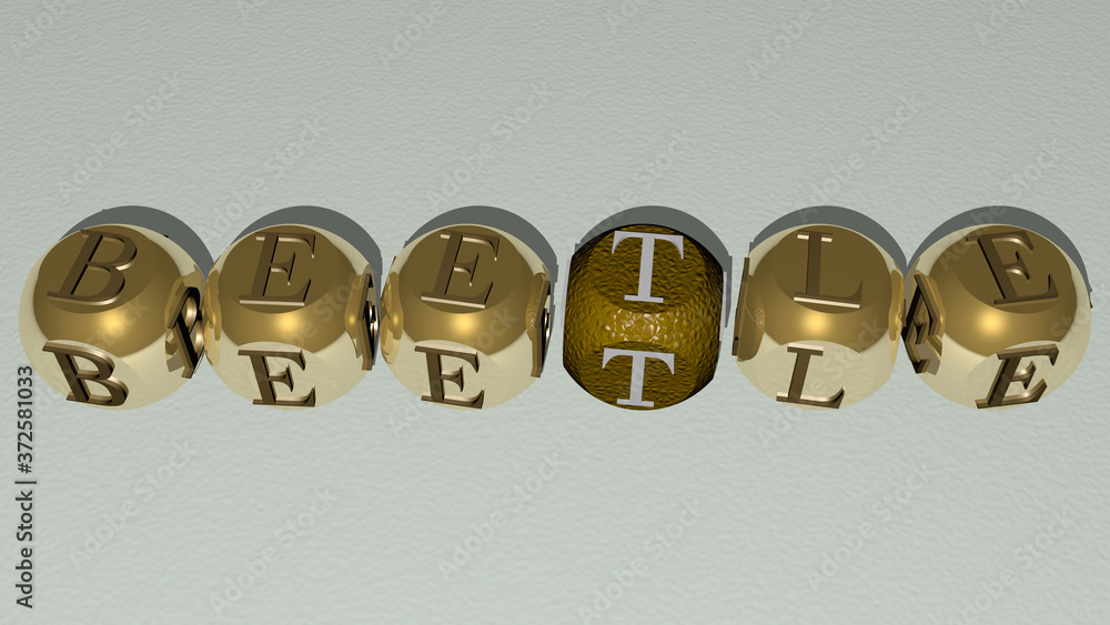 beetle text by cubic dice letters, 3D illustration for bug and background beetle text by cubic dice letters, 3D illustration for bug and background