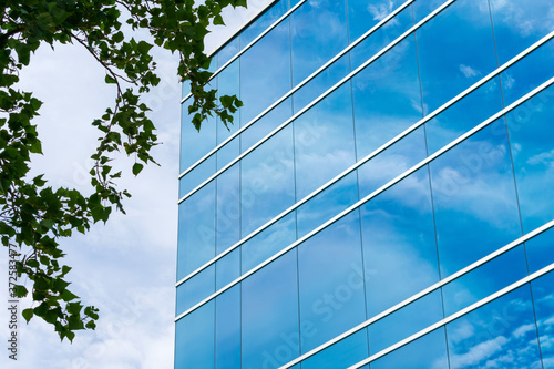 Exterior view of typical blue glass facade of generic modern office building. Green tree leaves. Sky reflection