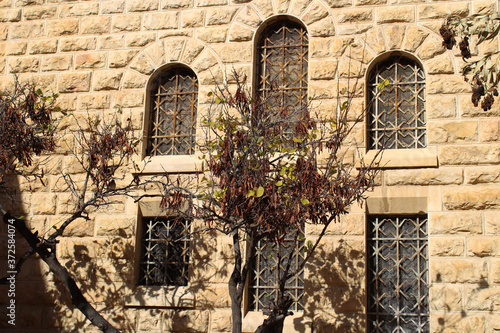 Wallpaper Mural Six arc windows on stone wall behind trees Torontodigital.ca