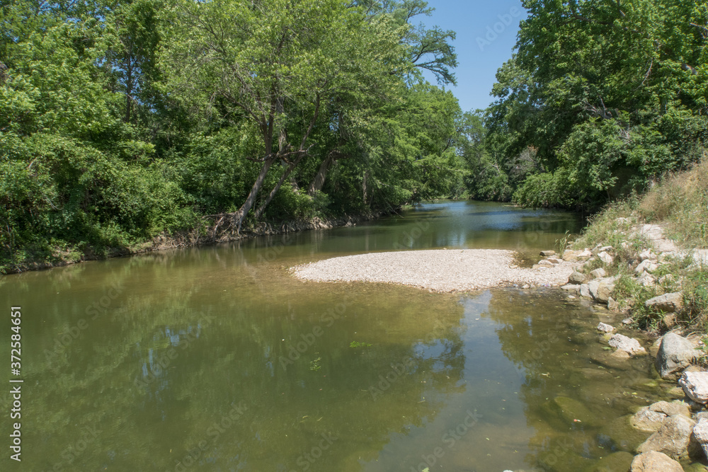 a creek with green tinted water