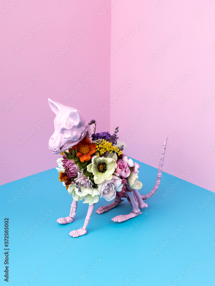 Pink cat skeleton with colorful flowers on pink background. Minimal Halloween scary concept. Isometric view photography. - obrazy, fototapety, plakaty 