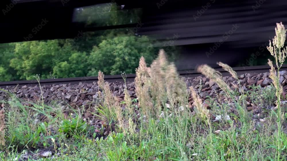 The grass sways from the swirl raised by a passing train The grass sways from the swirl raised by a passing train