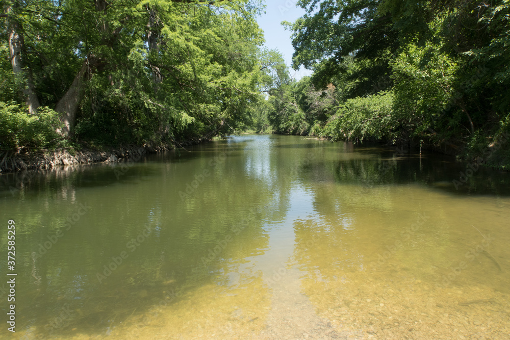 a Texas creek filled with green water a Texas creek filled with green water