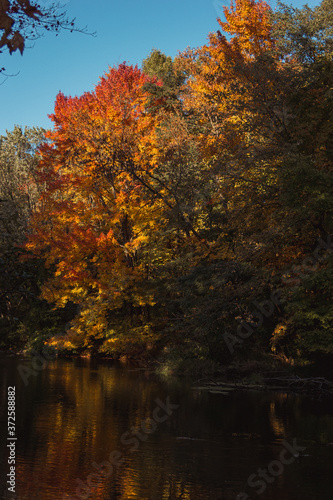 Fall Colors Over a River in Northern Wisconsin