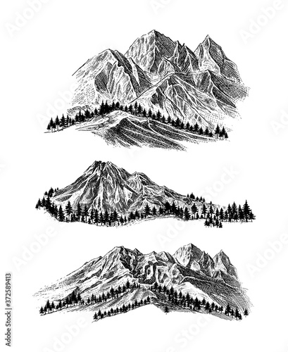 Photography Mountain with pine trees and landscape black on white background