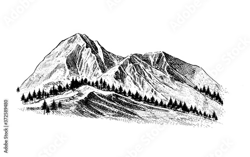 Mountain with pine trees and landscape black on white background. Hand drawn rocky peaks in sketch style. 