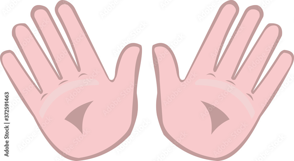 Vector illustration of a hands showing palms Vector illustration of a hands showing palms
