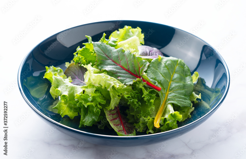 Various salad leaves on a plate Various salad leaves on a plate