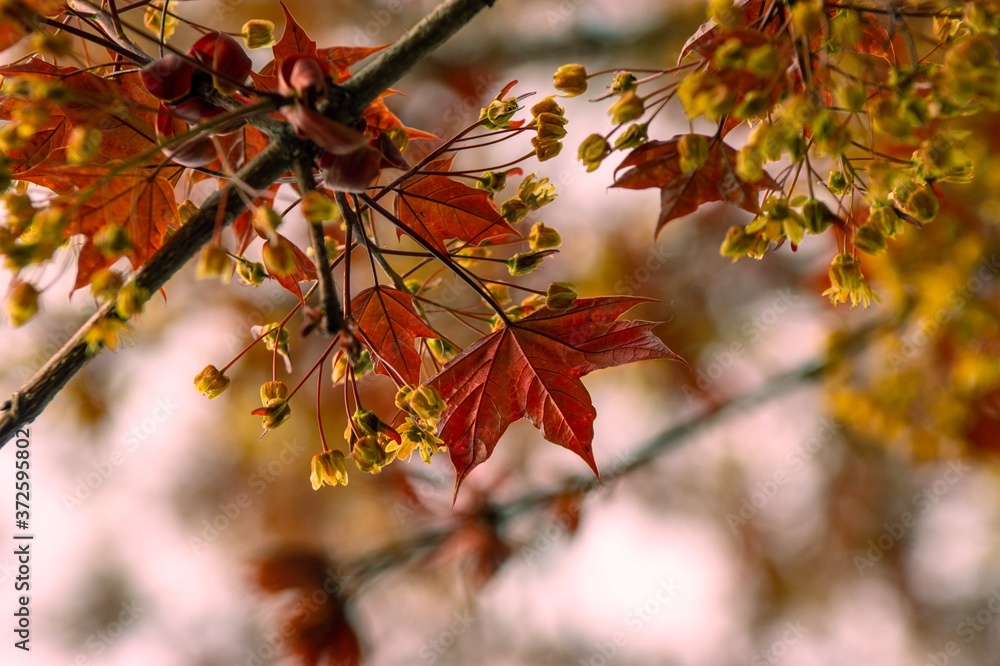 Autumn views Autumn views