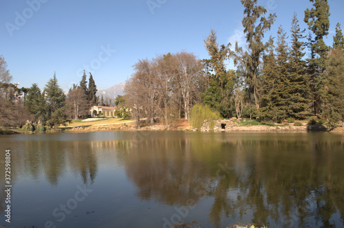lake in the forest