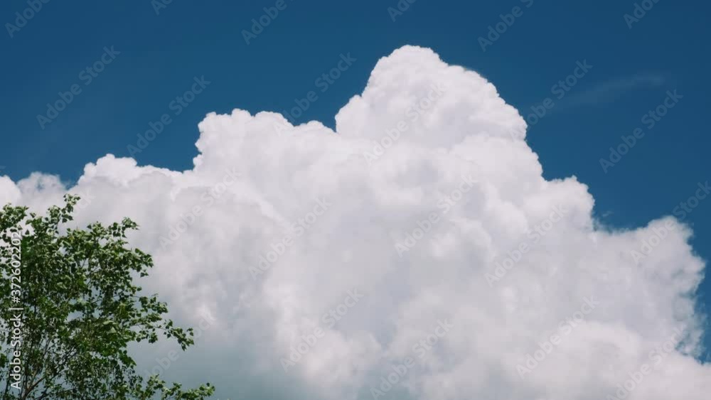 太平洋高気圧の湧き上がる入道雲 太平洋高気圧の湧き上がる入道雲
