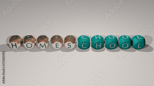 combination of homeschool built by cubic letters from the top perspective, excellent for the concept presentation