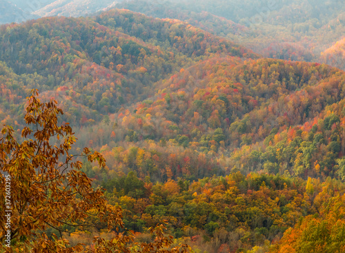 Fall Color Across The Great Smoky Mountains National Park, Tennessee, USA