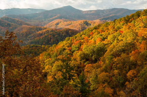 Fall Color Across The Great Smoky Mountains National Park, Tennessee, USA