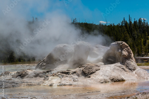 Steam And Boiling Water From Grotto Geyser, Upper Gayser, Basin, Yellowstone National Park, Wyoming, USA