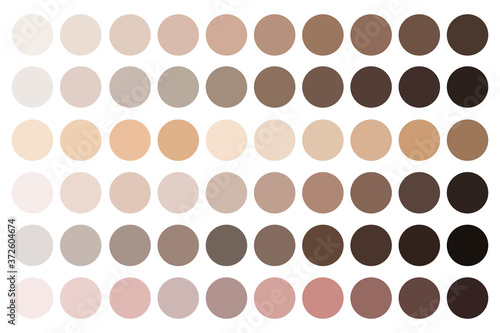 Skin tones. Beige palette. Fundamentals of complexion shades. Samples of makeup shades. Vector illustration. Stock image.