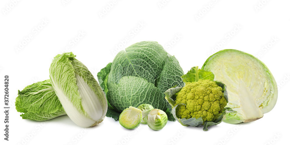 Fototapeta premium Set with different fresh cabbages on white background. Banner design